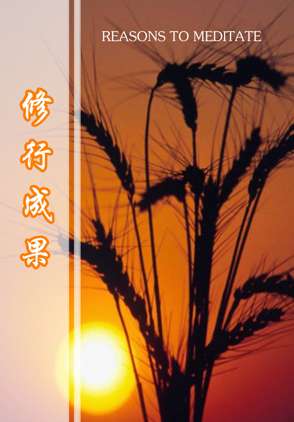 null The Gift For Life  หน้า 29