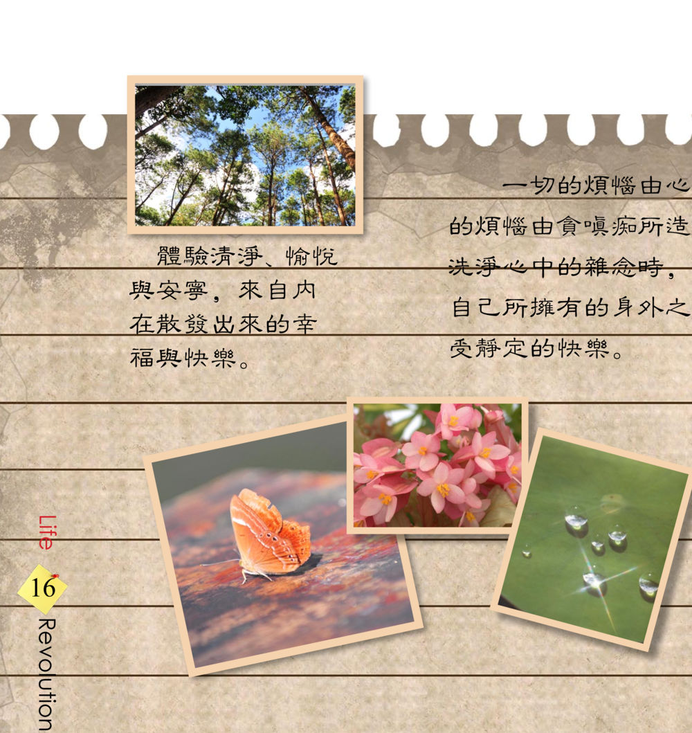 null 佛法薪传者-生命的改革 สมุดภาพธรรมทายาท นานาชาติ หน้า 18