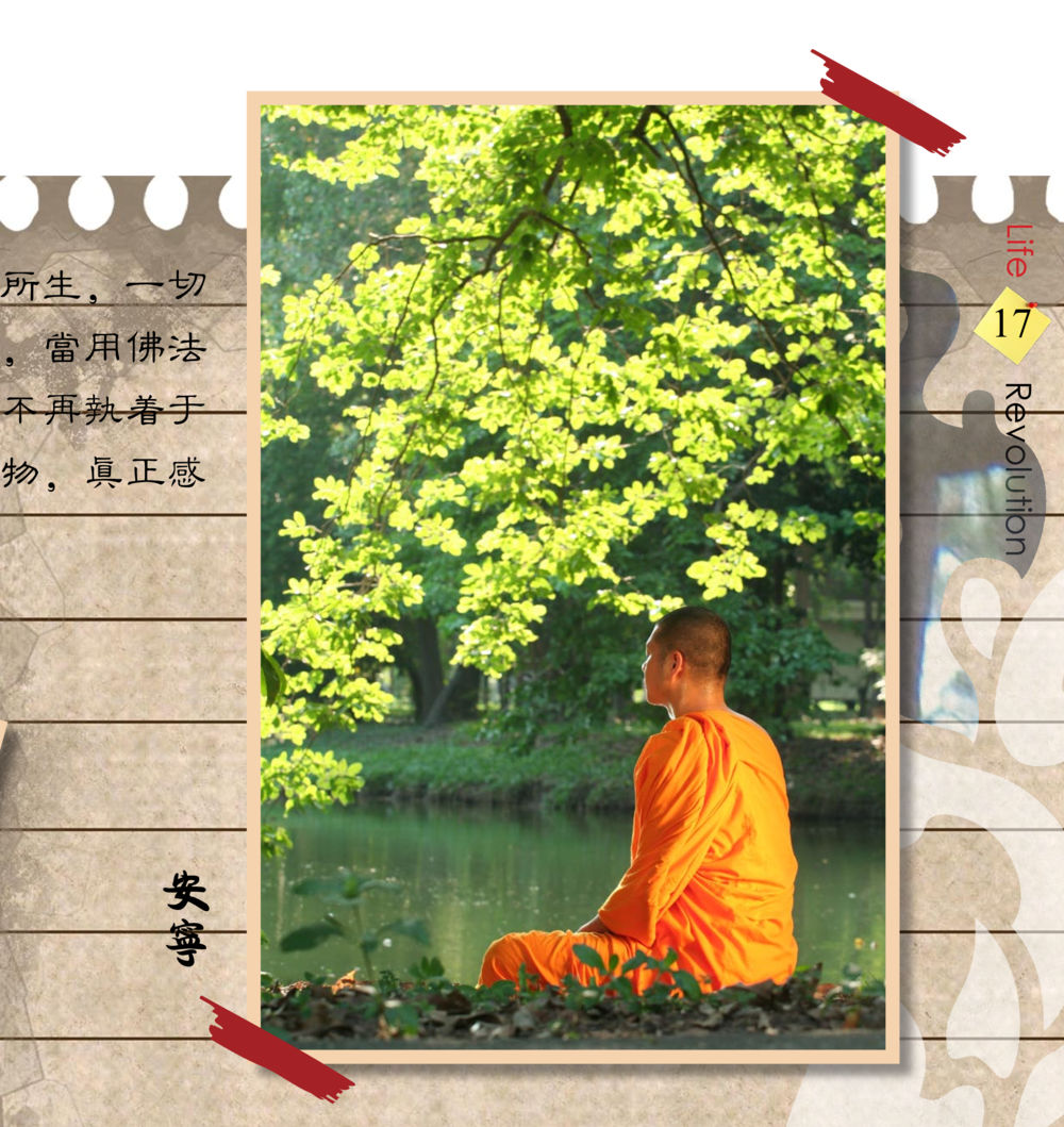 null 佛法薪传者-生命的改革 สมุดภาพธรรมทายาท นานาชาติ หน้า 19