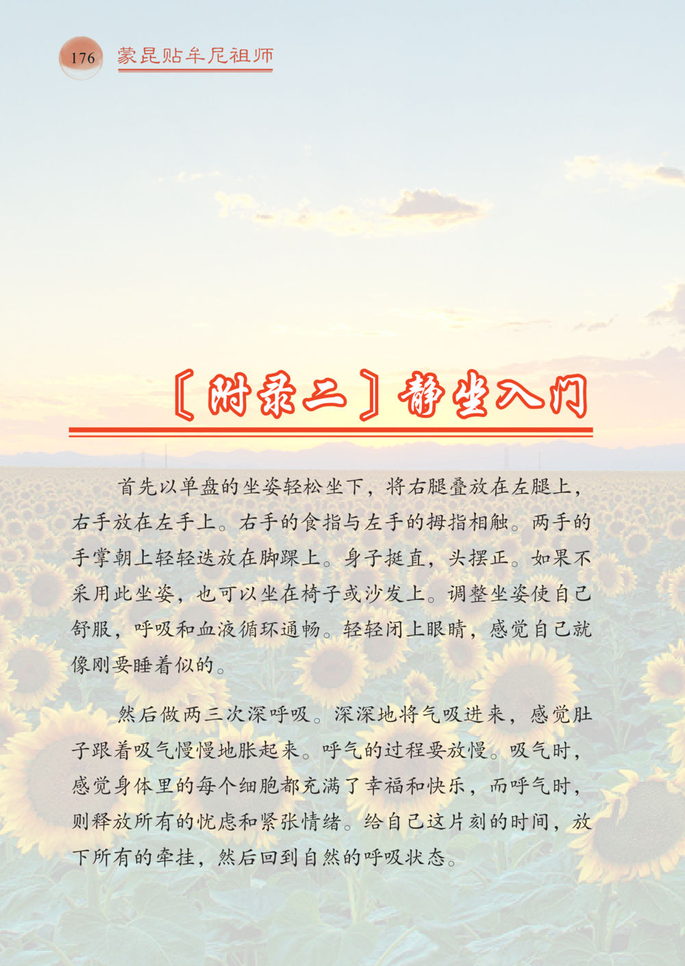 静坐入门指南 帕蒙昆贴牟尼祖师——入法身法门发现者 หน้า 177