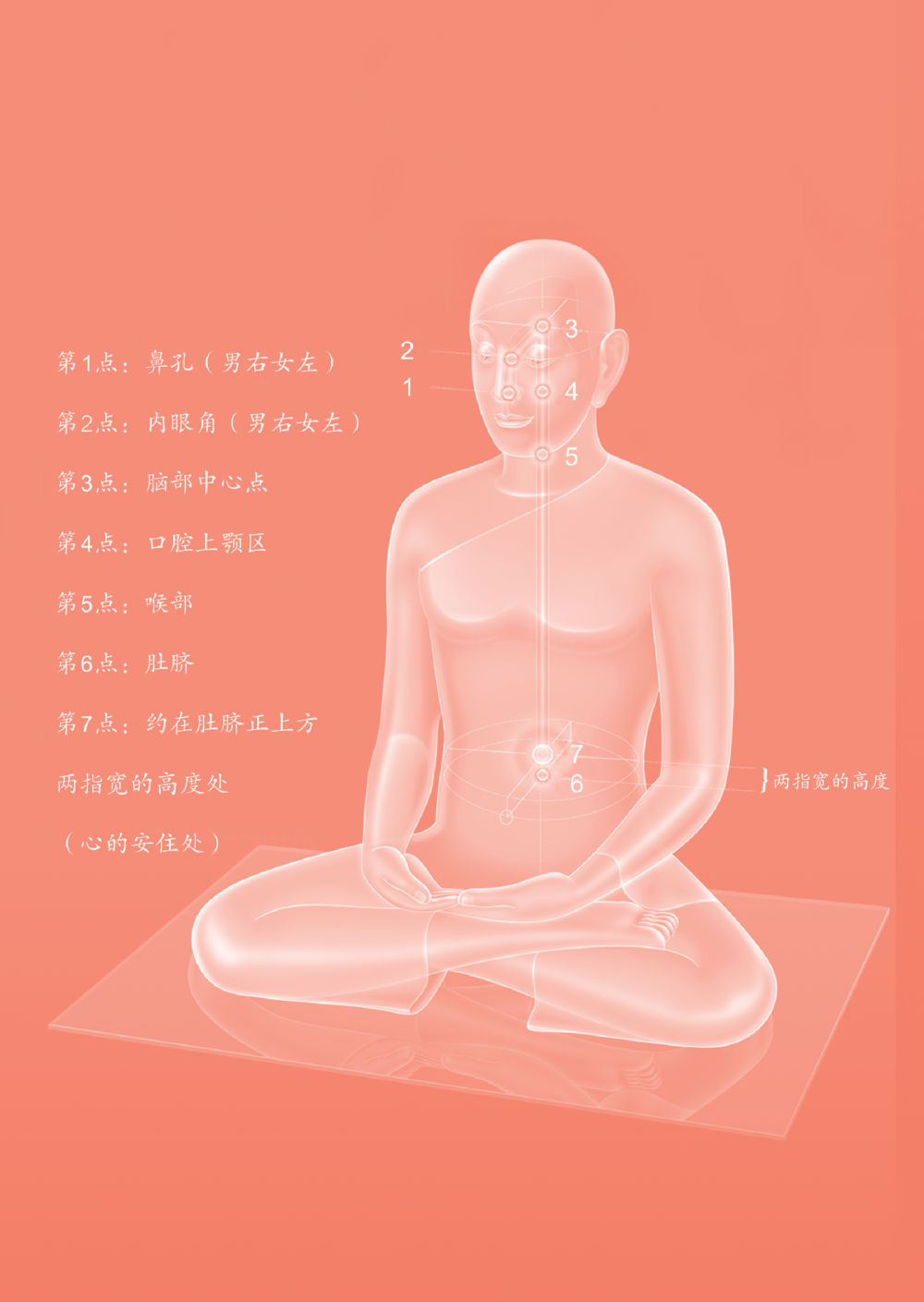 null 帕蒙昆贴牟尼祖师——入法身法门发现者 หน้า 180