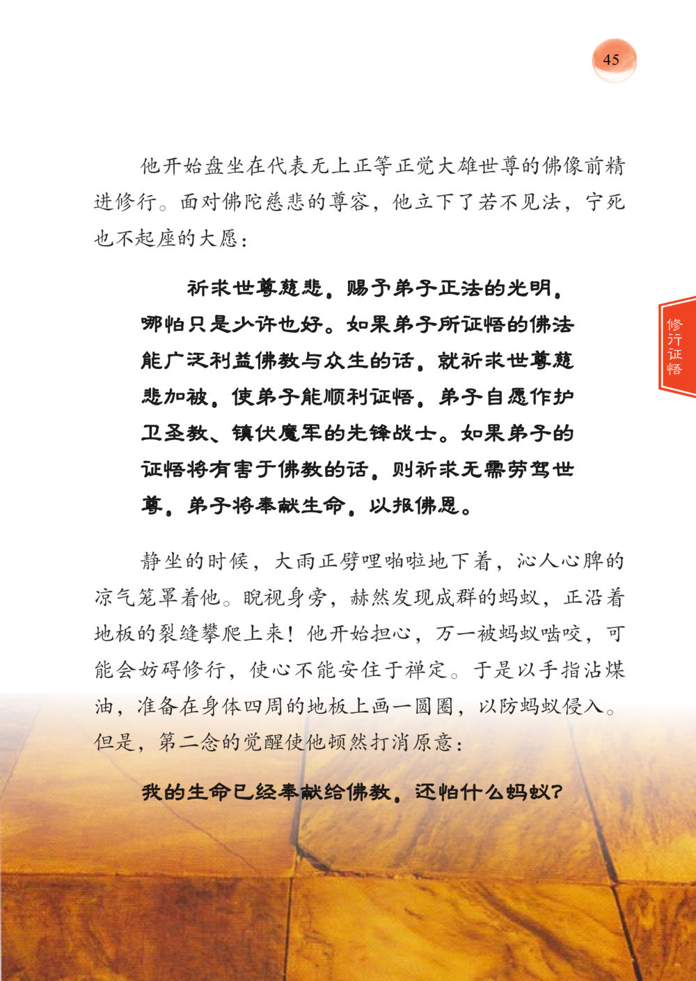 修行与奉献：面对佛陀的心灵探索 帕蒙昆贴牟尼祖师——入法身法门发现者 หน้า 46