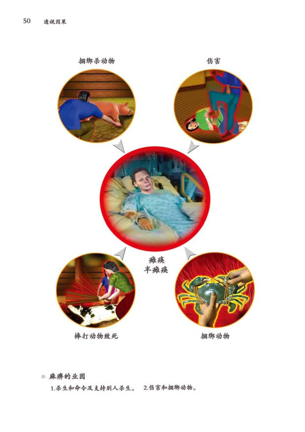 null 透视因果  หน้า 51