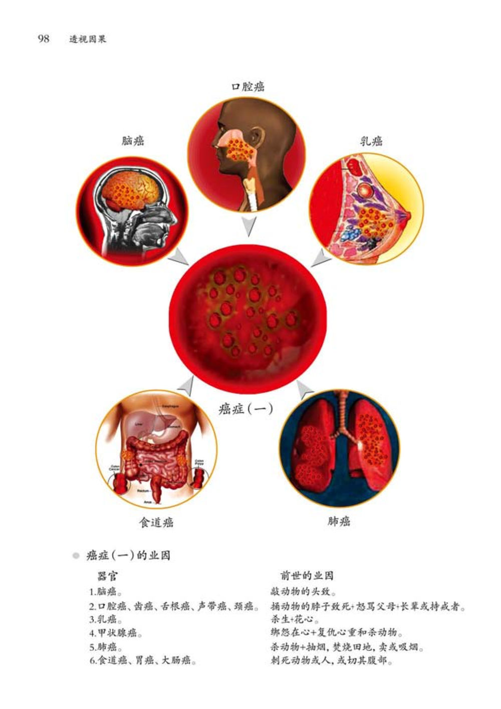 null 透视因果  หน้า 99