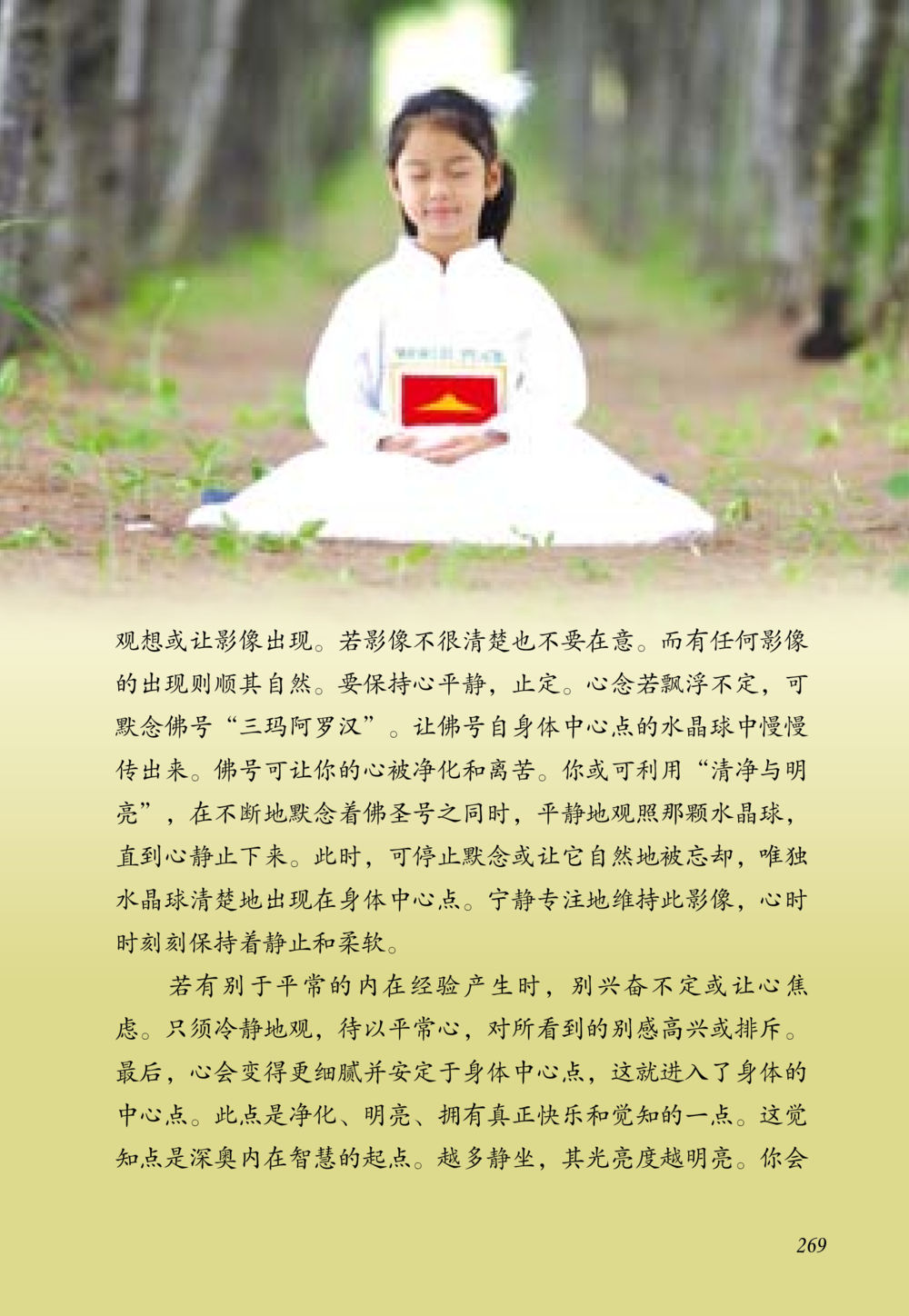 观想与心灵净化 老奶奶的金言玉语 หน้า 270