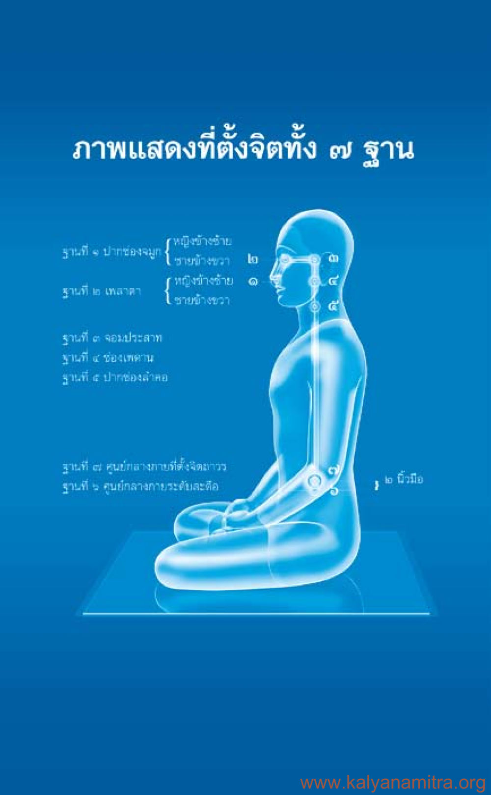 null ที่นี่มีคำตอบ เล่ม 3 หน้า 335