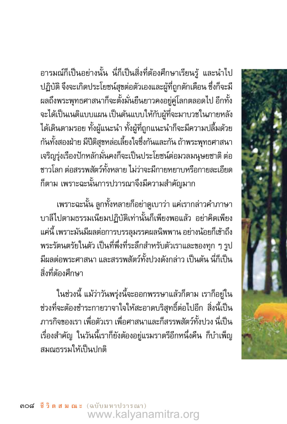 การศึกษาและการปฏิบัติในพระพุทธศาสนา ชีวิตสมณะ (ฉบับมหาปวารณา) หน้า 389