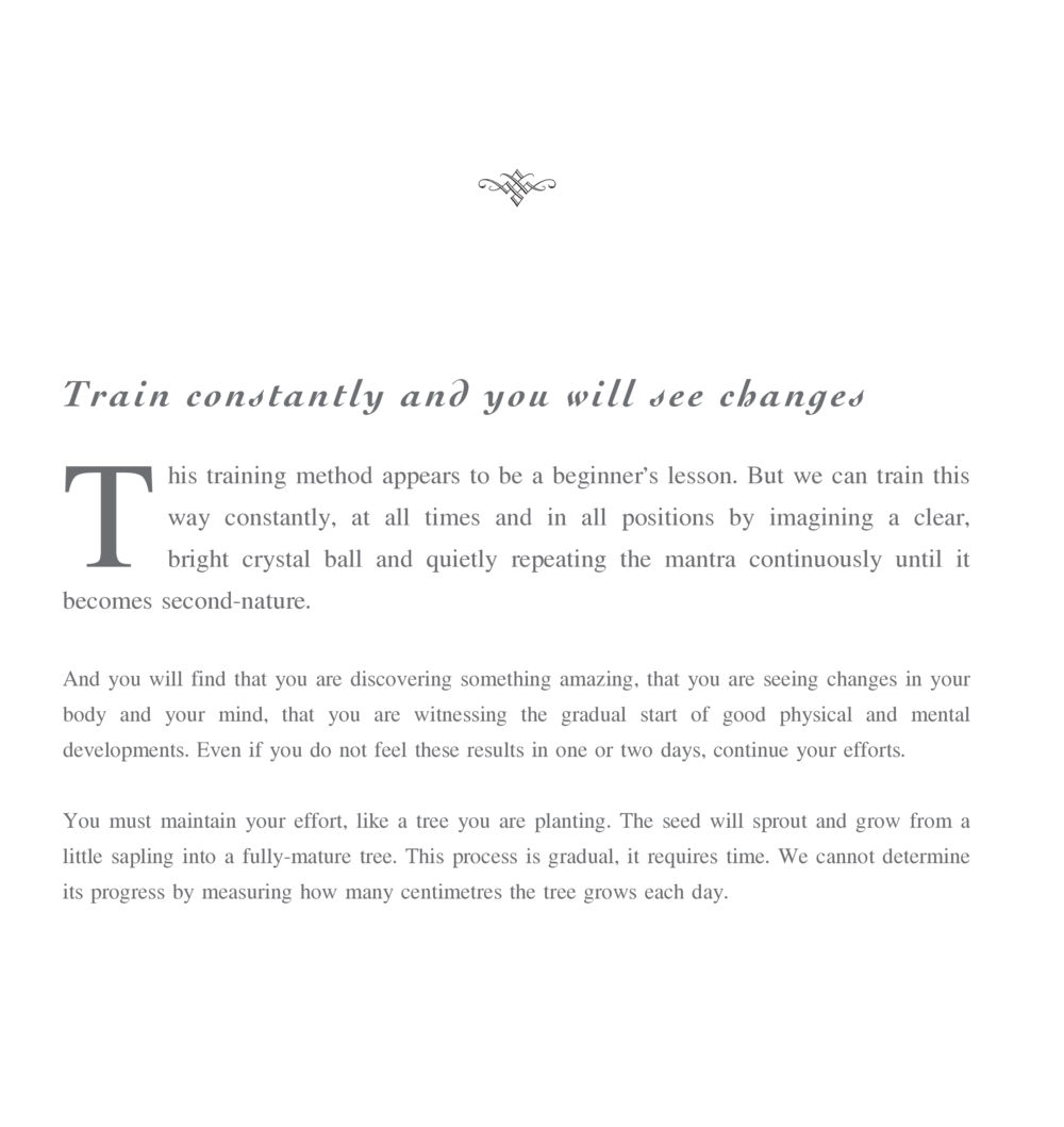 Transformative Training: Mind and Body Development The Sun of Peace หน้า 206