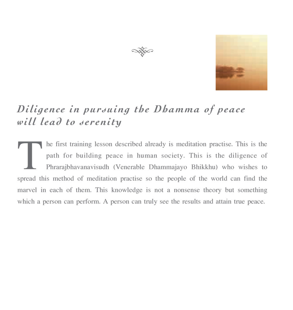 Diligence in Pursuing Dhamma for Serenity The Sun of Peace หน้า 210