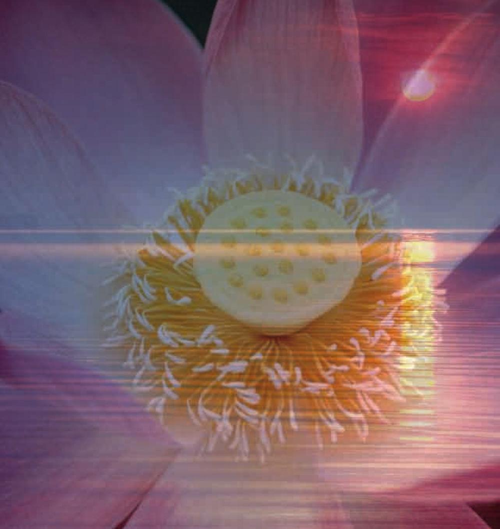 null The Sun of Peace หน้า 10