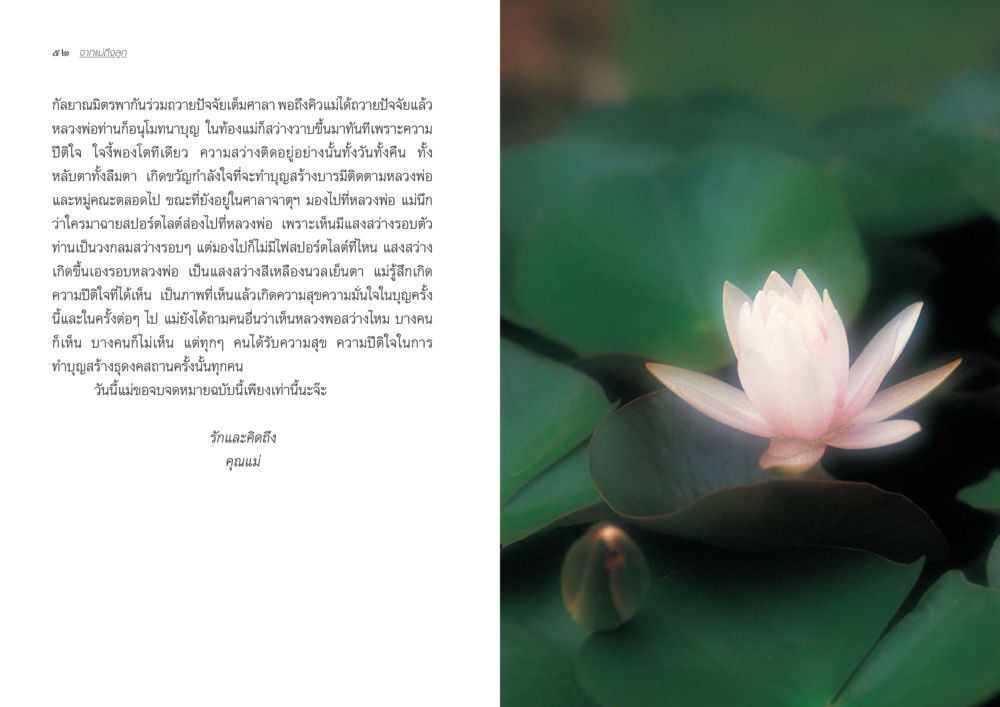 การถวายปัจจัยและความสุขในบุญ จากแม่ถึงลูก หน้า 29