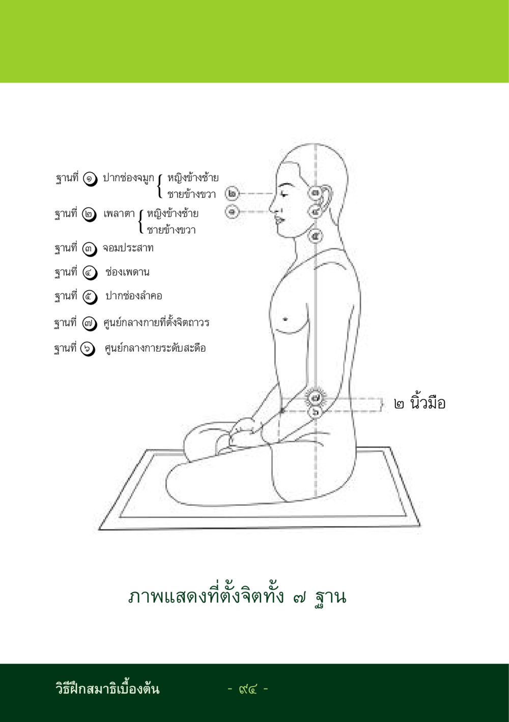 null ชีวิตลิขิตได้ หน้า 95