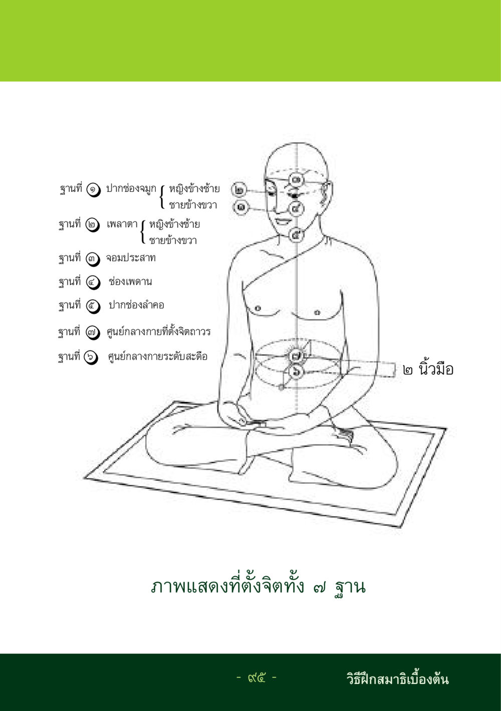 null ชีวิตลิขิตได้ หน้า 96