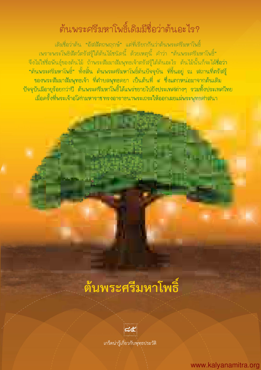 ต้นพระศรีมหาโพธิ์และความสำคัญ พุทธประวัติ ประสูติ ตรัสรู้ ปรินิพพาน พระบรมศาสดาสัมมาสัมพุทธเจ้า หน้า 86