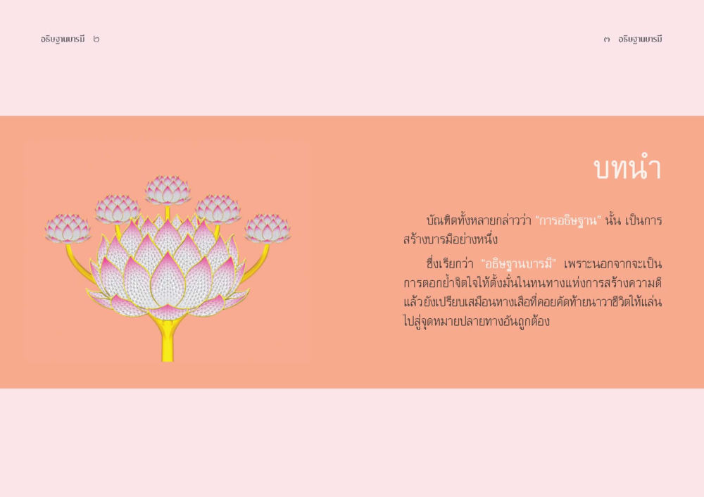 null อธิษฐานบารมี  หน้า 3