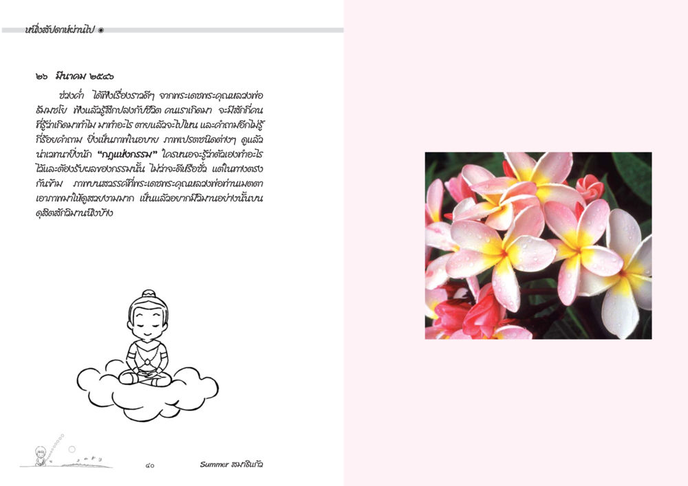 คุณสมบัติและความงามของธรรมชาติ Summer สมาธิแก้ว หน้า 22