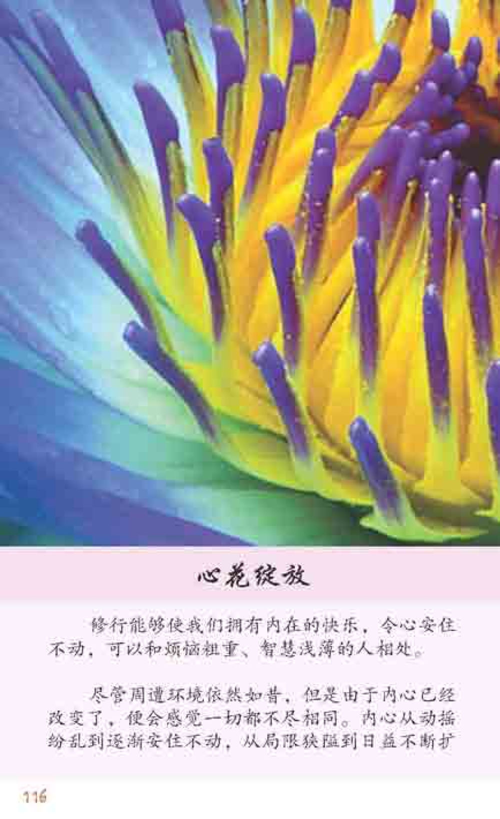 null 最后得胜 หน้า 116