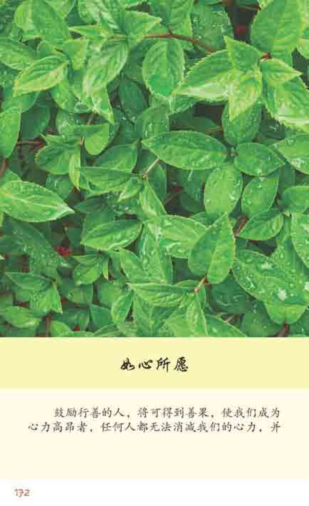 null 最后得胜 หน้า 172
