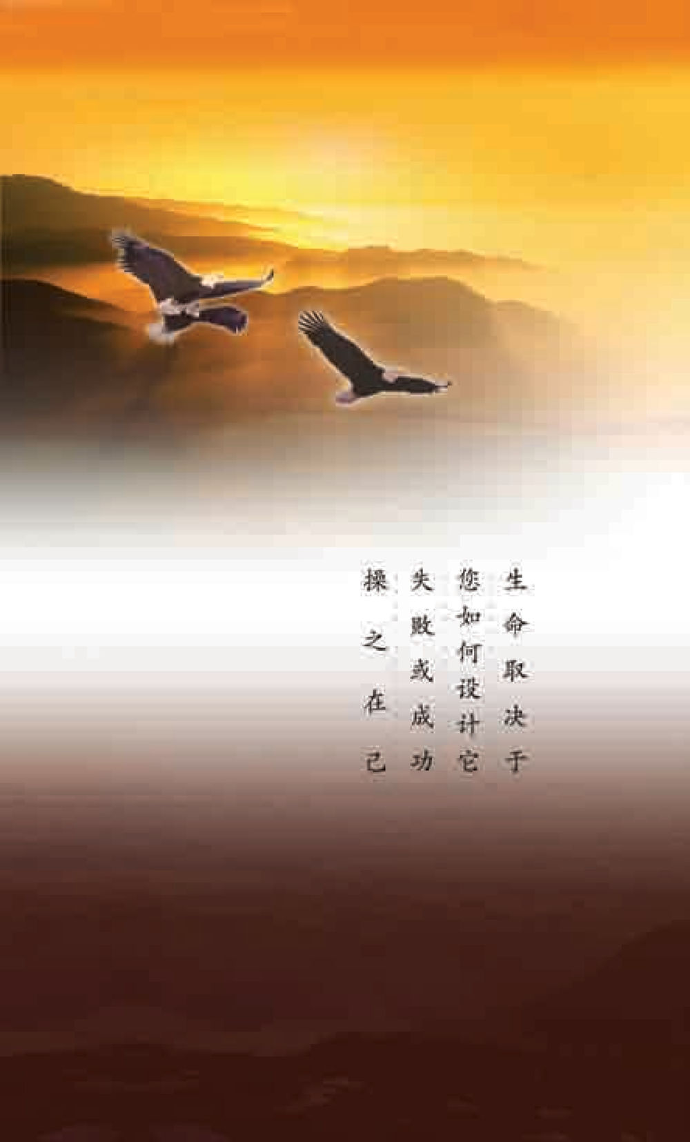 null 最后得胜 หน้า 264
