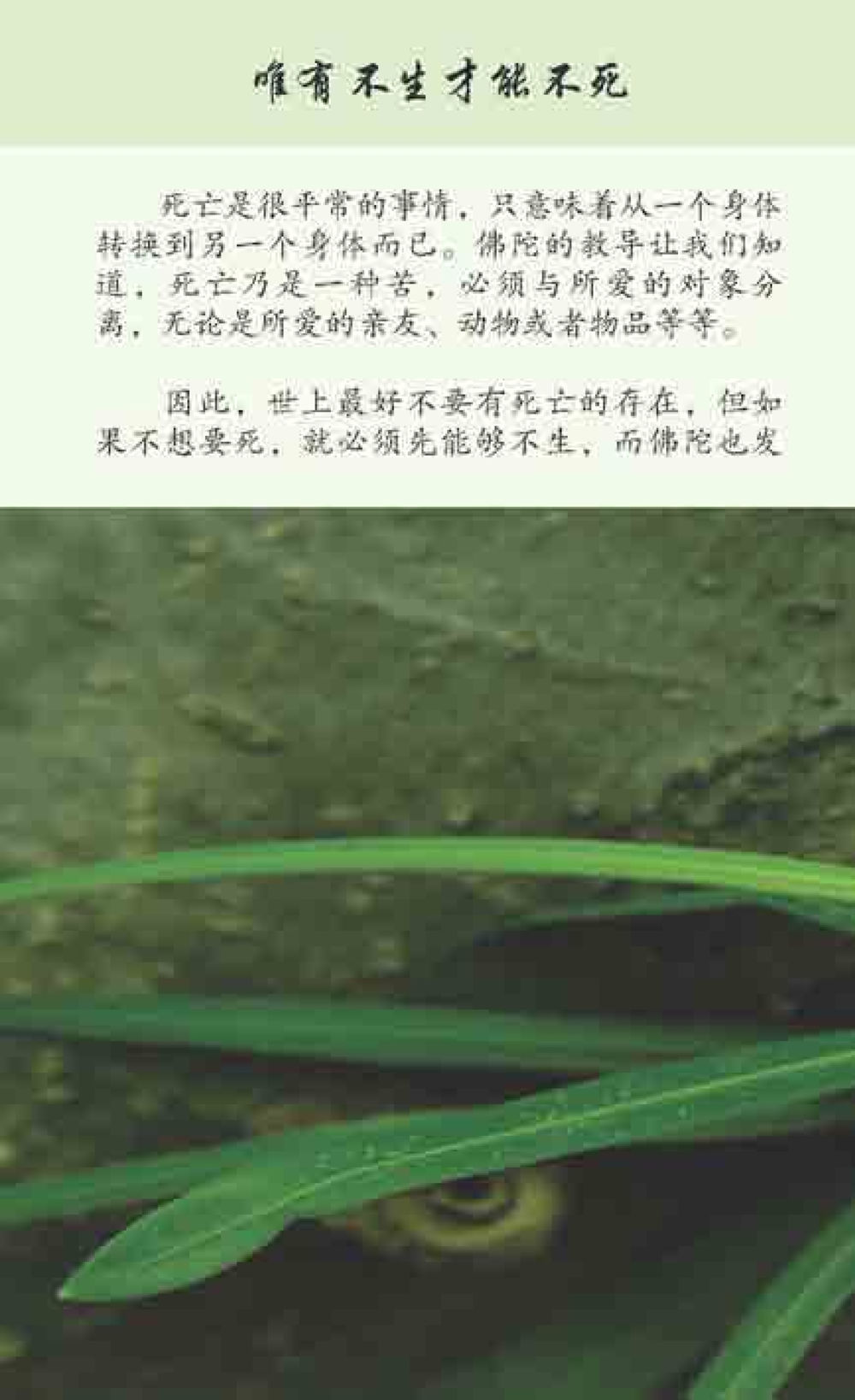 null 最后得胜 หน้า 30