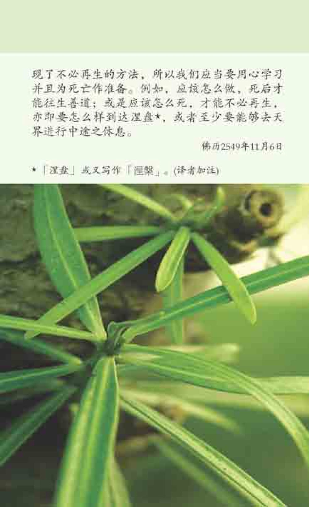 null 最后得胜 หน้า 31