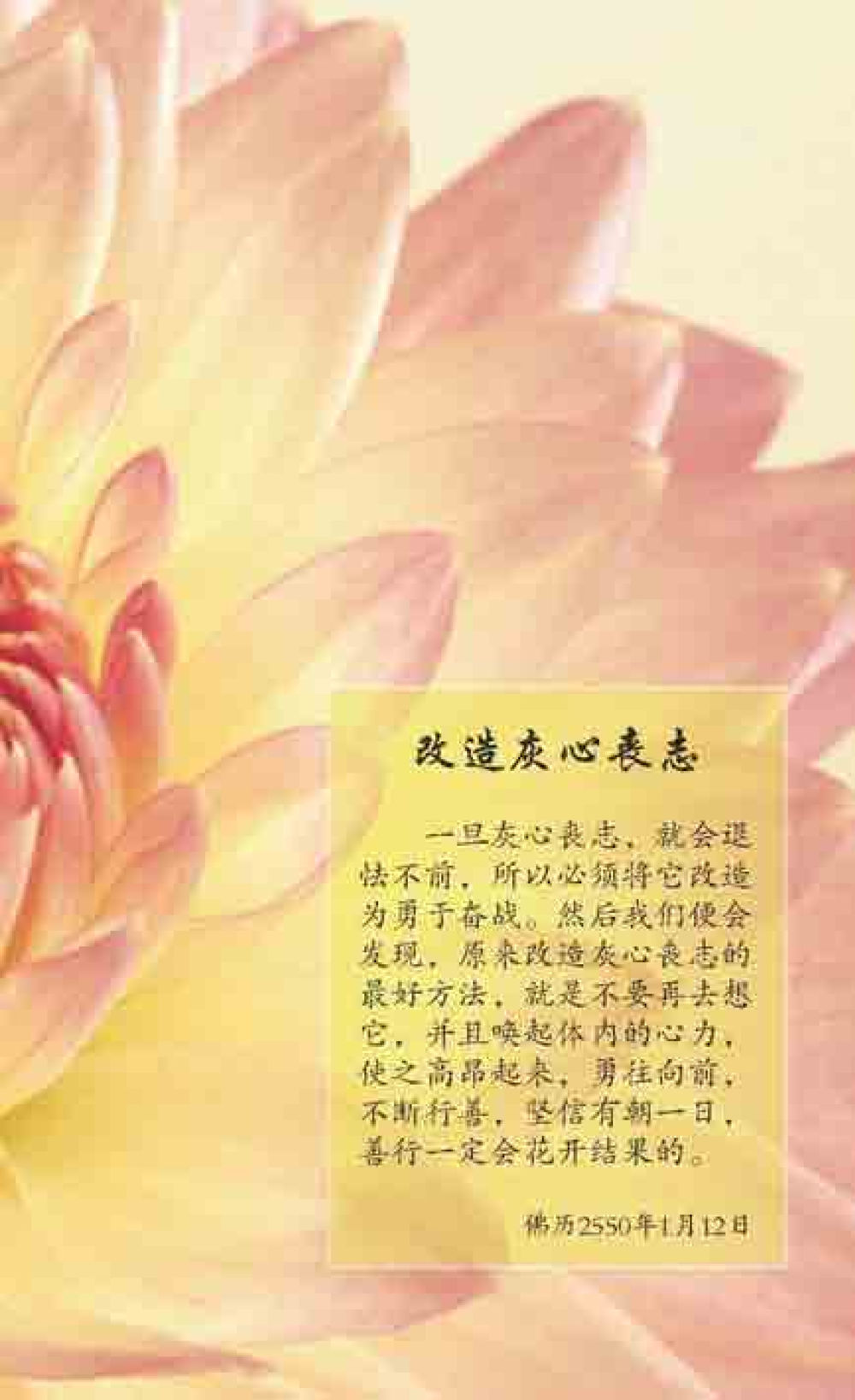 null 最后得胜 หน้า 57