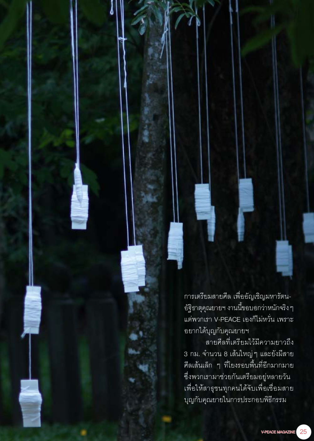 การเตรียมสายศิลเพื่อเชิญมาหาคุณยาย นิตยสาร V-Peace เดือนกรกฎาคม พ.ศ.2555 หน้า 27