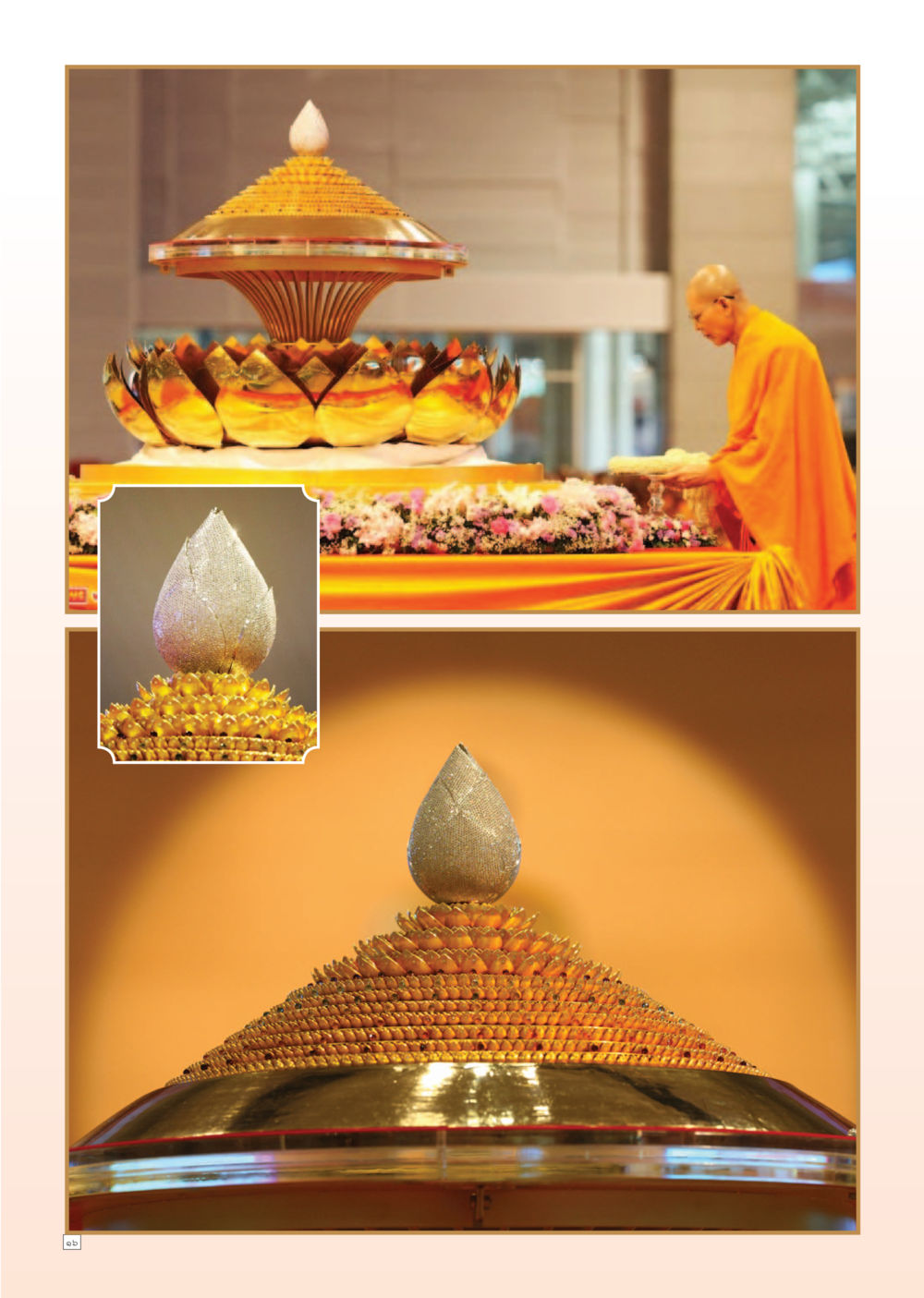 ความรู้เกี่ยวกับการเลี้ยงสัตว์ Dhamma Time เดือน กรกฎาคม พ.ศ.2555 หน้า 16