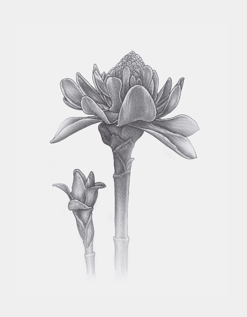 null บางสิ่งที่แสวงหา หน้า 116