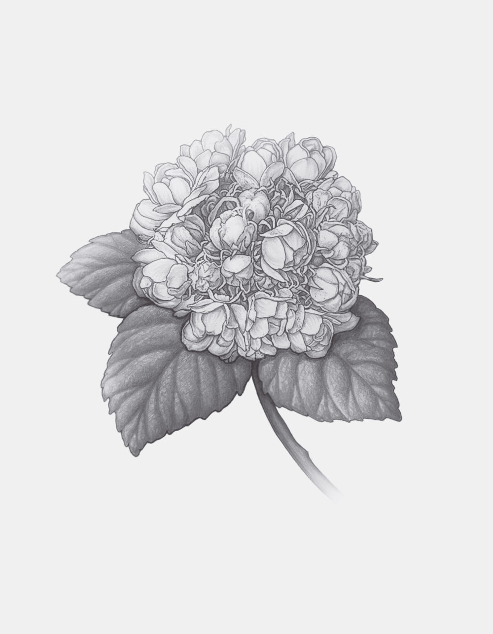 null บางสิ่งที่แสวงหา หน้า 188