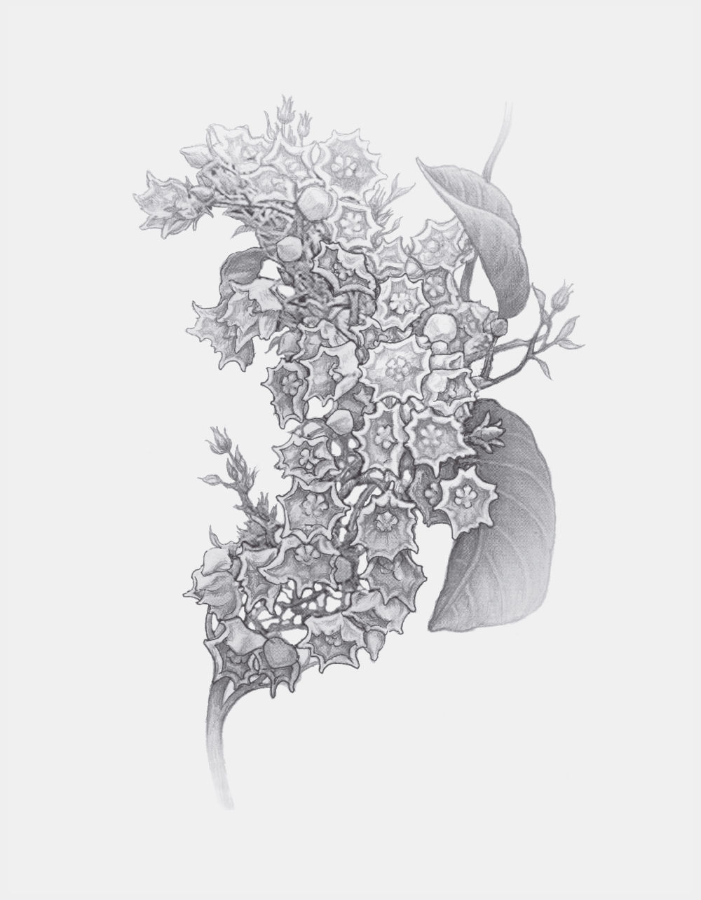 null บางสิ่งที่แสวงหา หน้า 44