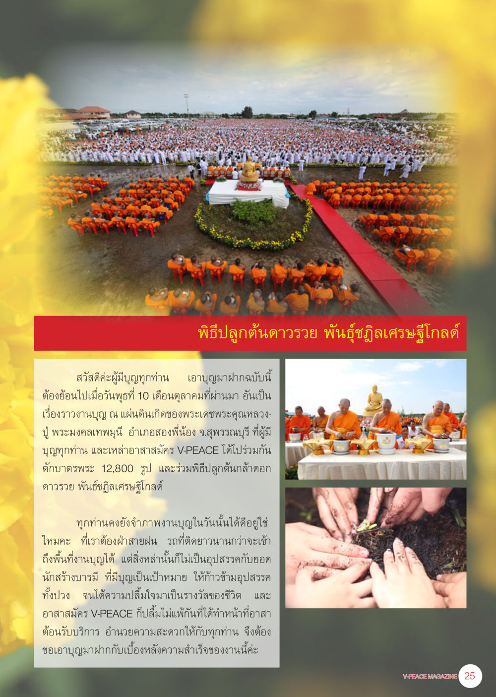 null นิตยสาร V-Peace เดือนพฤศจิกายน พ.ศ.2555 หน้า 27