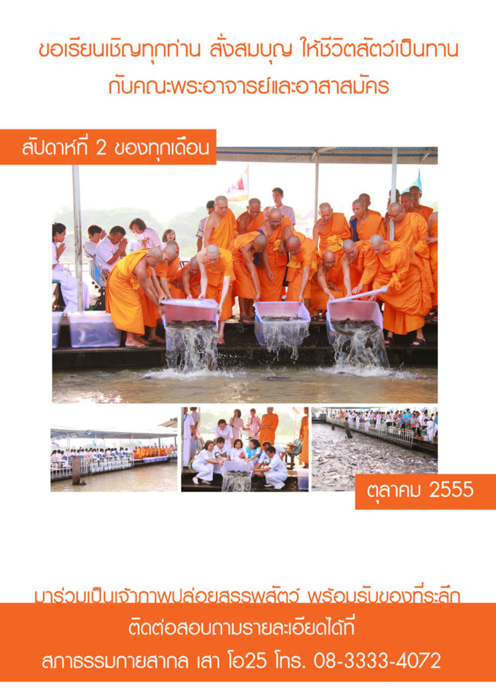 null นิตยสาร V-Peace เดือนพฤศจิกายน พ.ศ.2555 หน้า 60