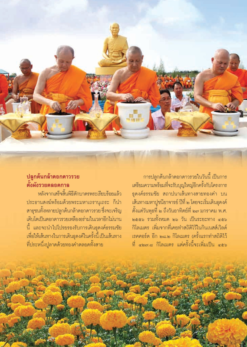 ปลูกต้นกล้าดอกดาวรว ย วารสารอยู่ในบุญ ประจำเดือน พฤศจิกายน พ.ศ.2555 หน้า 20