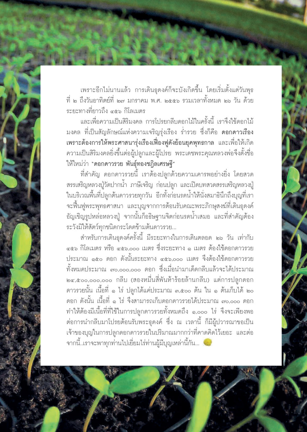 การเดินดูดอกดาวเรืองและการปลูกดอกไม้มงคล วารสารอยู่ในบุญ ประจำเดือน ธันวาคม พ.ศ.2555 หน้า 63