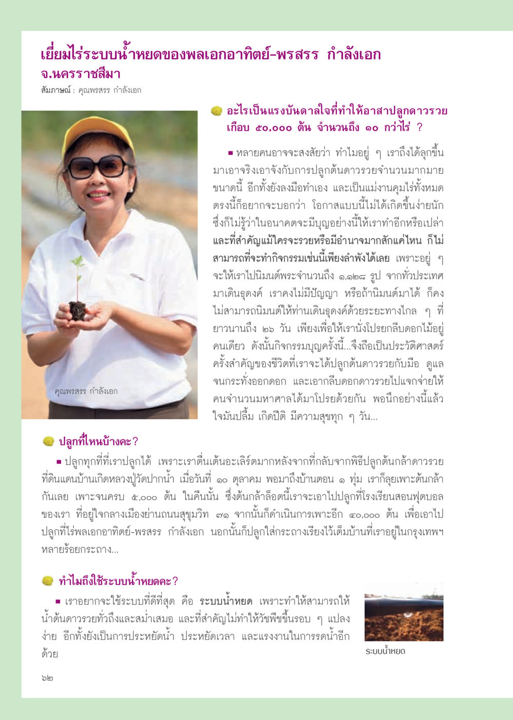 การปลูกต้นดาวรวยด้วยระบบน้ำหยด วารสารอยู่ในบุญ ประจำเดือน ธันวาคม พ.ศ.2555 หน้า 64