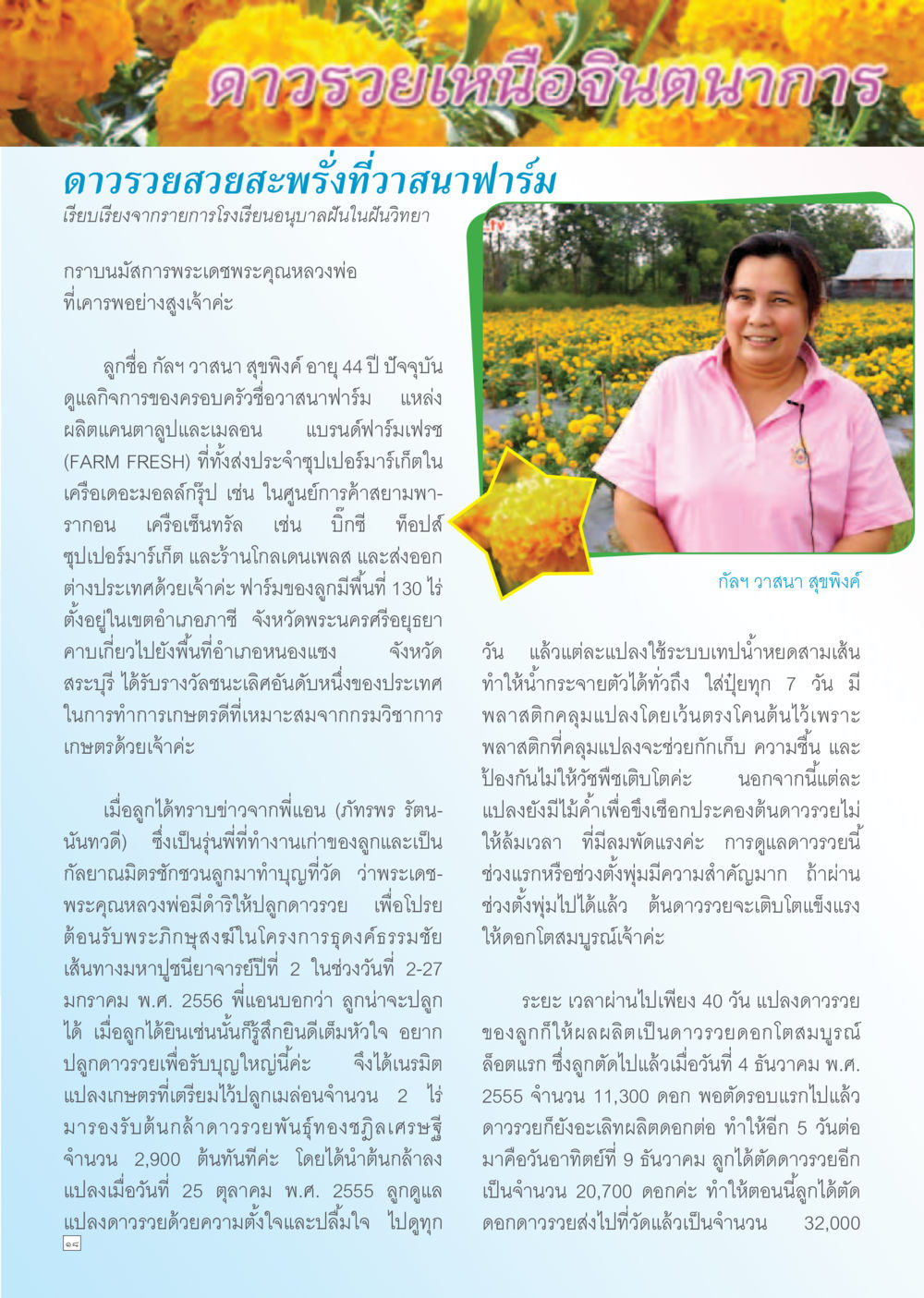การปลูกดาวรวย: ประสบการณ์จากฟาร์มฟาร์มเฟรช Dhamma TIME เดือนธันวาคม พ.ศ. 2555 หน้า 18
