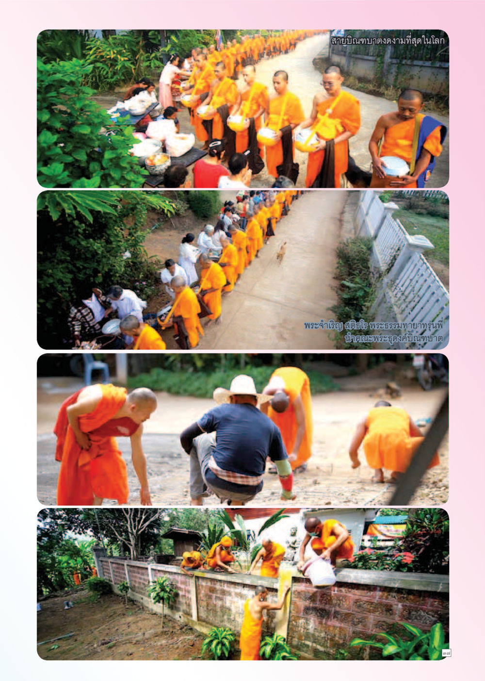 null Dhamma TIME เดือนธันวาคม พ.ศ. 2555 หน้า 37