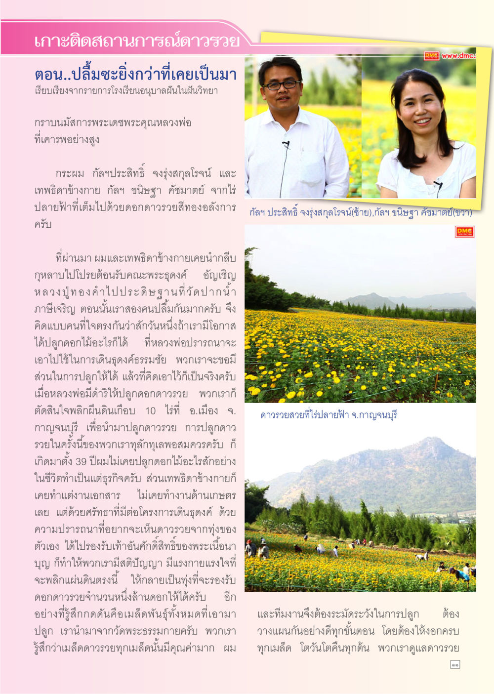 การปลูกดอกดาวรวงและความศรัทธา Dhamma TIME เดือนมกราคม พ.ศ. 2556 หน้า 11
