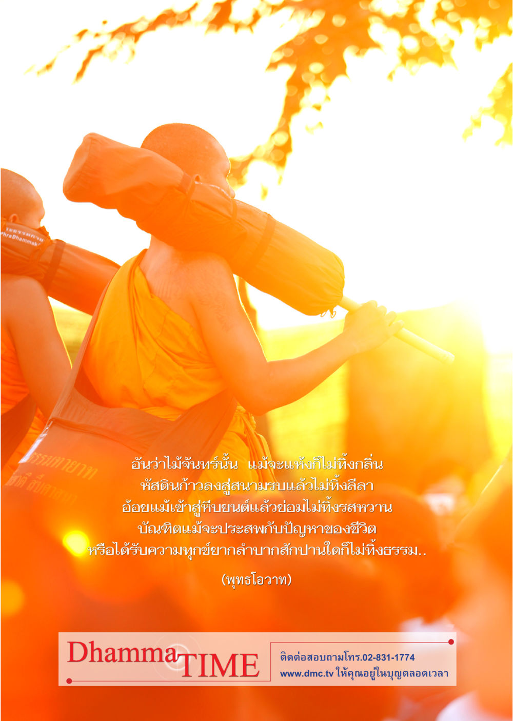 null Dhamma TIME เดือนมกราคม พ.ศ. 2556 หน้า 42