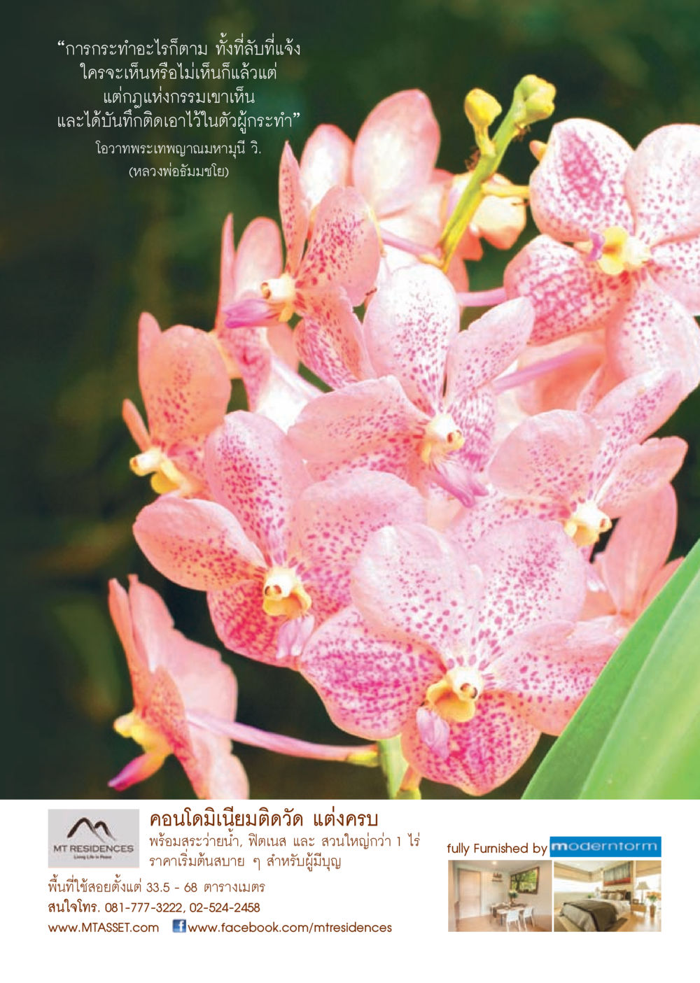 null วารสารอยู่ในบุญประจำเดือน กรกฎาคม พ.ศ.2556 หน้า 39