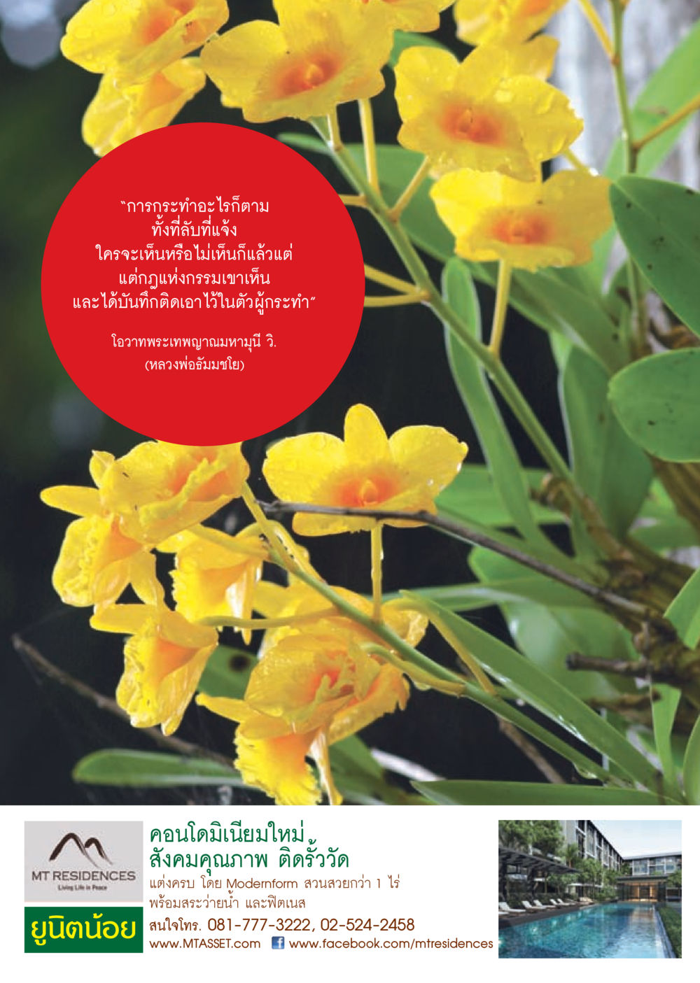 null วารสารอยู่ในบุญประจำเดือน สิงหาคม พ.ศ.2556 หน้า 47