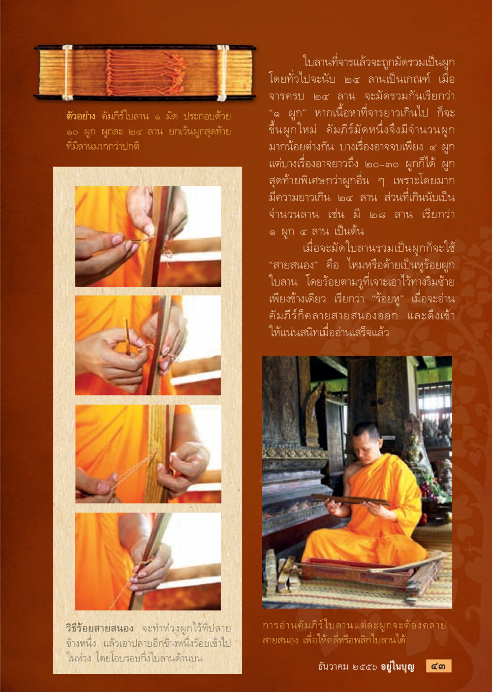 null วารสารอยู่ในบุญประจำเดือน ธันวาคม พ.ศ.2556 หน้า 45