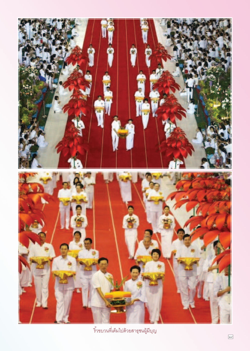 null Dhamma TIME เดือนพฤศจิกายน พ.ศ. 2556 หน้า 29