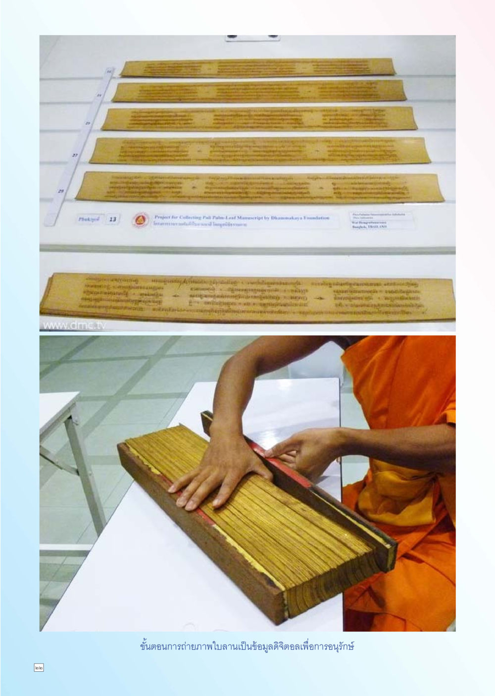null Dhamma TIME เดือนธันวาคม พ.ศ. 2556 หน้า 22