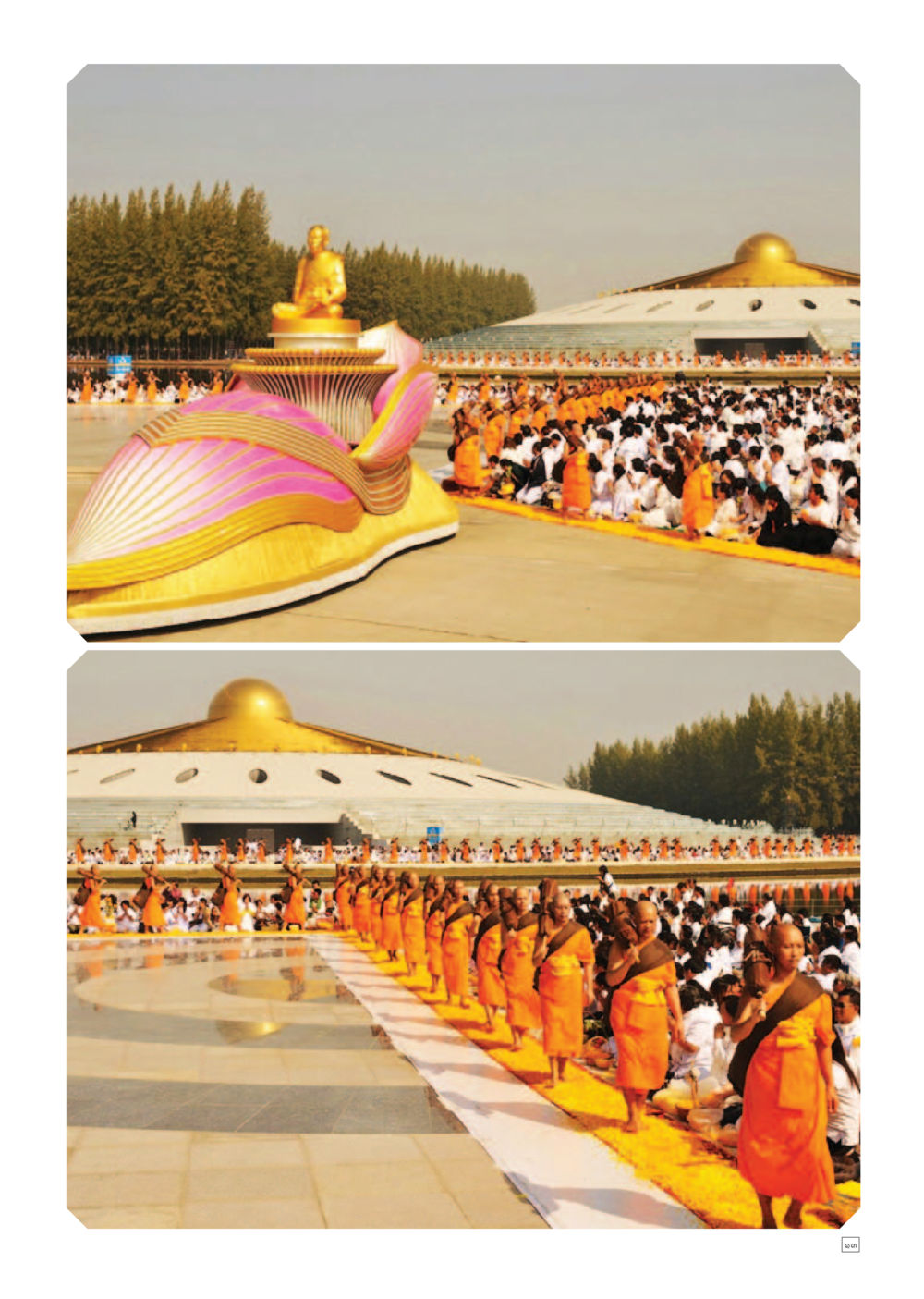 null Dhamma TIME เดือนมกราคม พ.ศ. 2557 หน้า 13