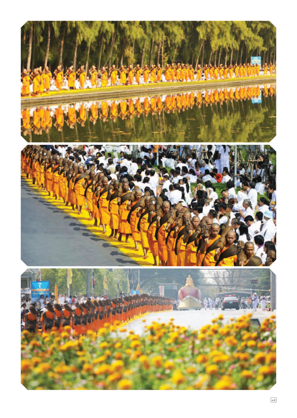 null Dhamma TIME เดือนมกราคม พ.ศ. 2557 หน้า 15