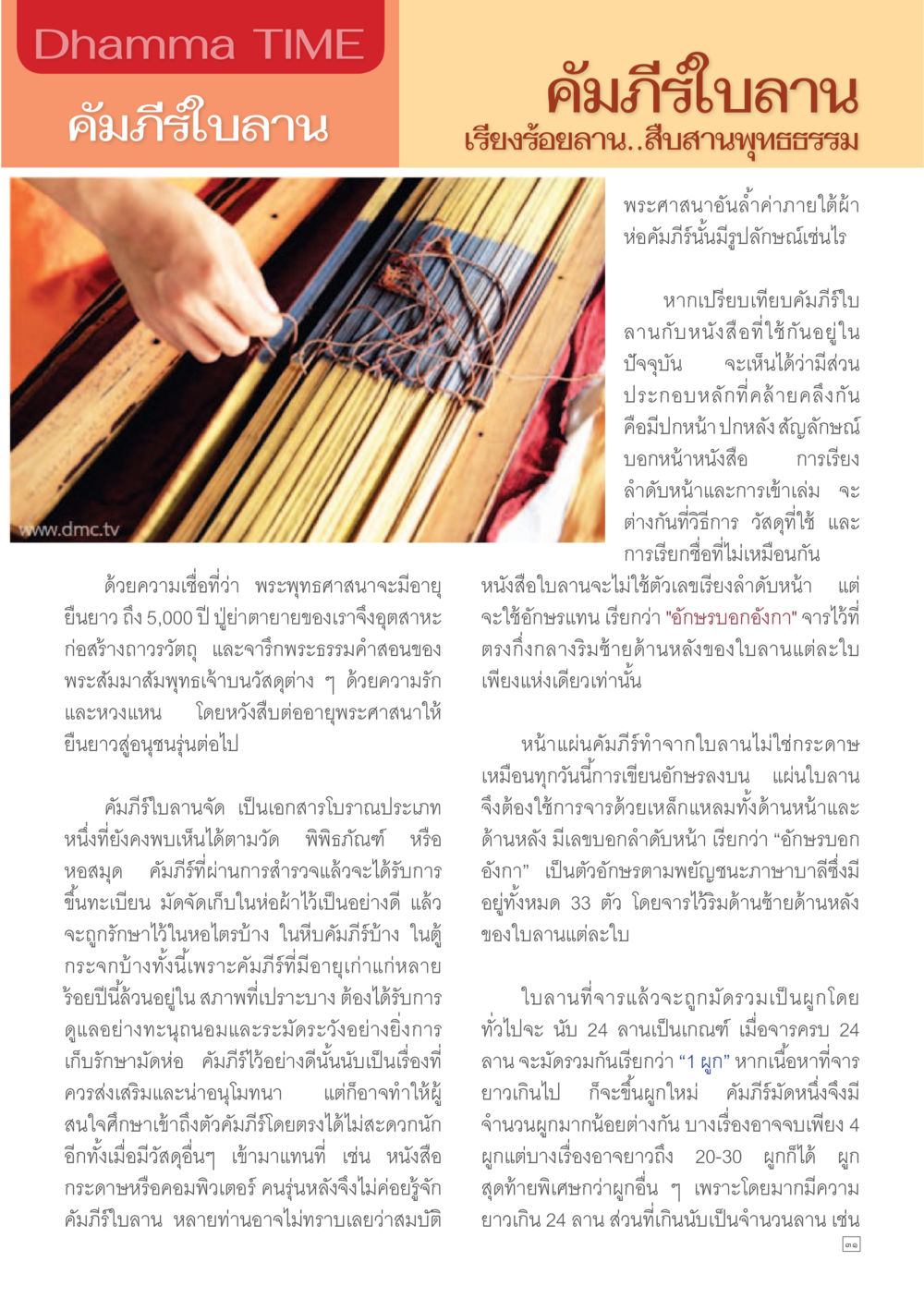 null Dhamma TIME เดือนมกราคม พ.ศ. 2557 หน้า 31