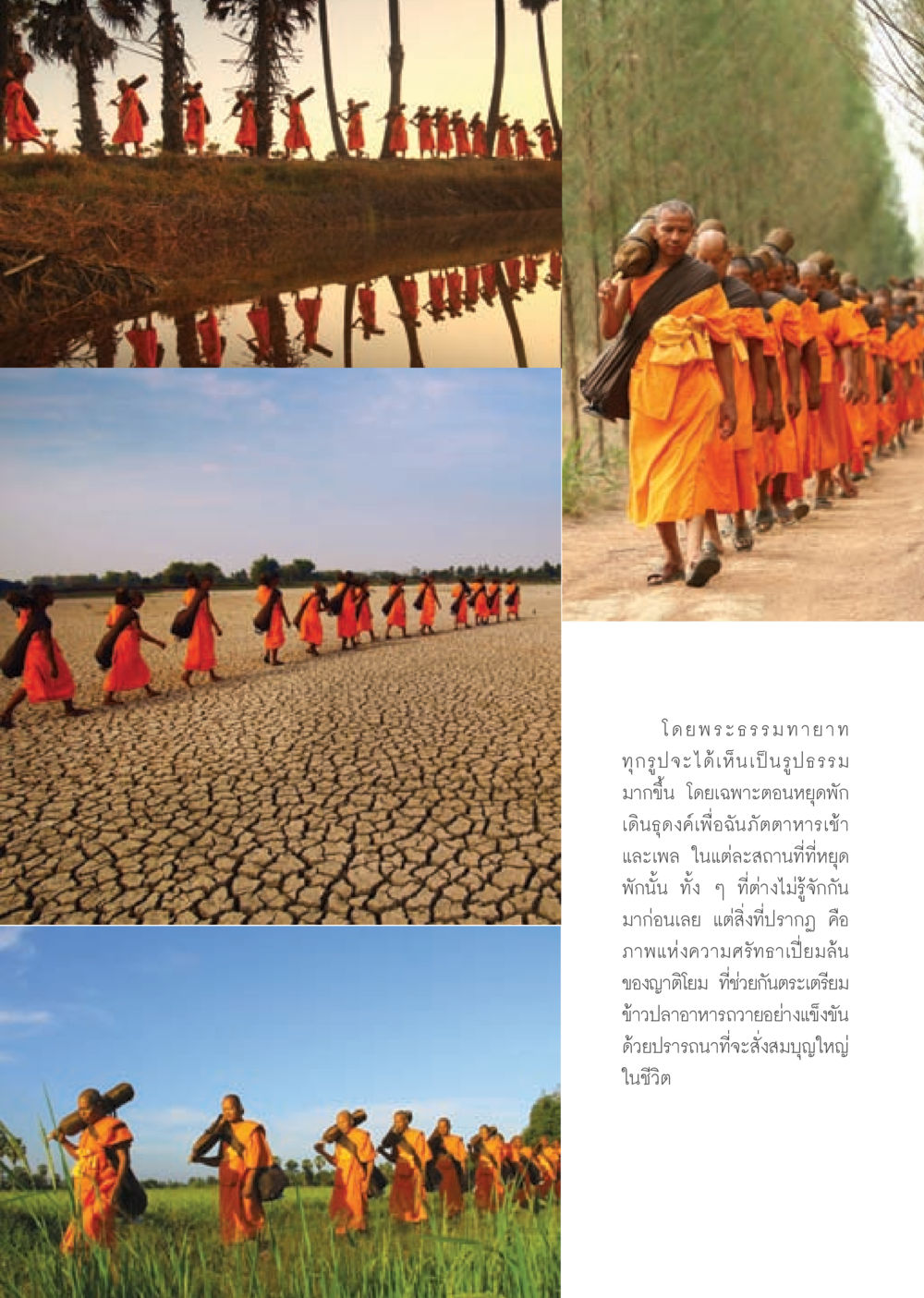 พระธรรมทายาทและความศรัทธา วารสารอยู่ในบุญ ประจำเดือน มีนาคม พ.ศ.2553  หน้า 39