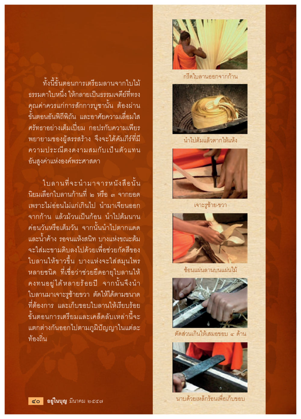 ขั้นตอนการเตรียมลานจากไม้ วารสารอยู่ในบุญประจำเดือน มีนาคม พ.ศ.2557 หน้า 42